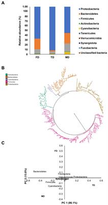 Efficacy of novel bacterial consortia in degrading fipronil and thiobencarb in paddy soil: a survey for community structure and metabolic pathways